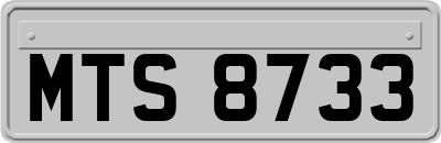 MTS8733