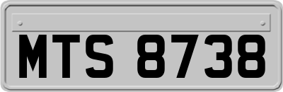 MTS8738