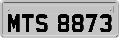 MTS8873