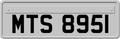 MTS8951