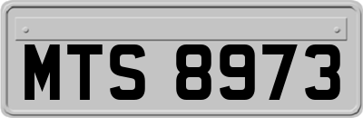 MTS8973