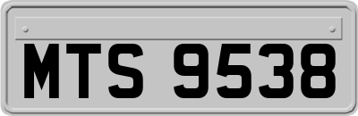 MTS9538