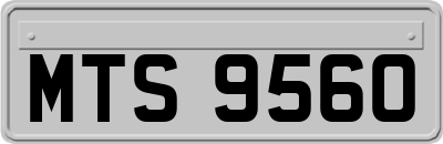 MTS9560