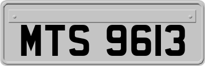 MTS9613