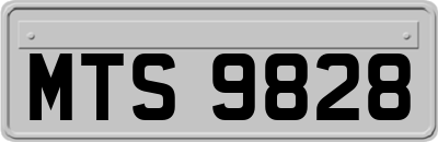 MTS9828