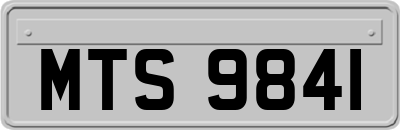 MTS9841