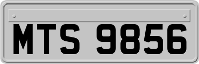 MTS9856