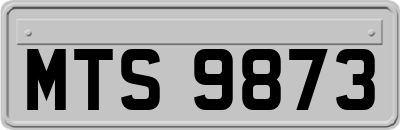 MTS9873