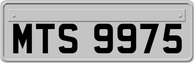 MTS9975