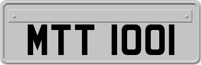 MTT1001