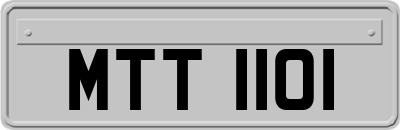MTT1101
