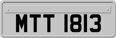MTT1813