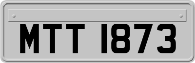 MTT1873