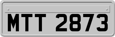 MTT2873