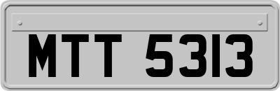 MTT5313