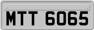 MTT6065