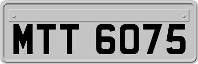 MTT6075
