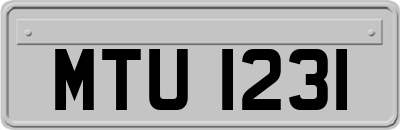 MTU1231