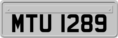 MTU1289