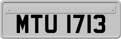 MTU1713