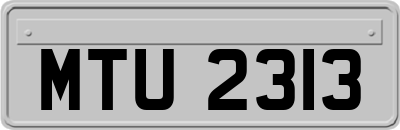 MTU2313
