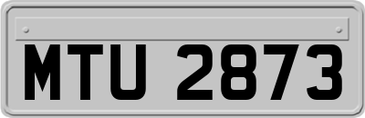 MTU2873