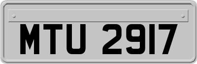 MTU2917