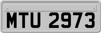 MTU2973