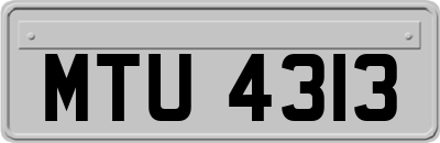 MTU4313