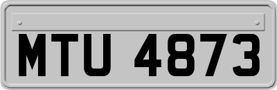 MTU4873