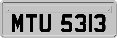 MTU5313