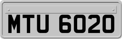 MTU6020