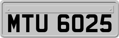 MTU6025