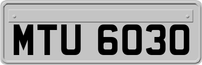 MTU6030