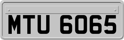 MTU6065