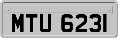MTU6231