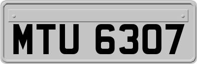 MTU6307