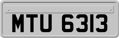MTU6313