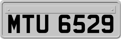 MTU6529