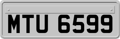 MTU6599