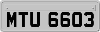 MTU6603