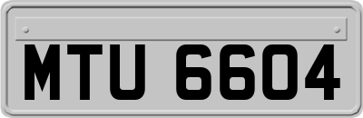 MTU6604