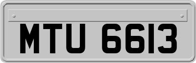 MTU6613