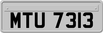 MTU7313