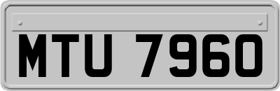 MTU7960