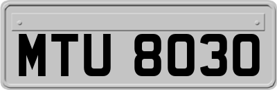 MTU8030