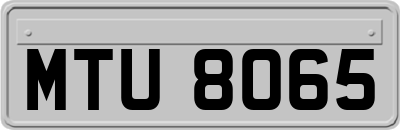 MTU8065