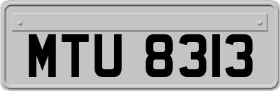 MTU8313