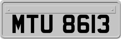 MTU8613