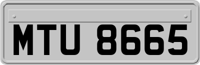 MTU8665